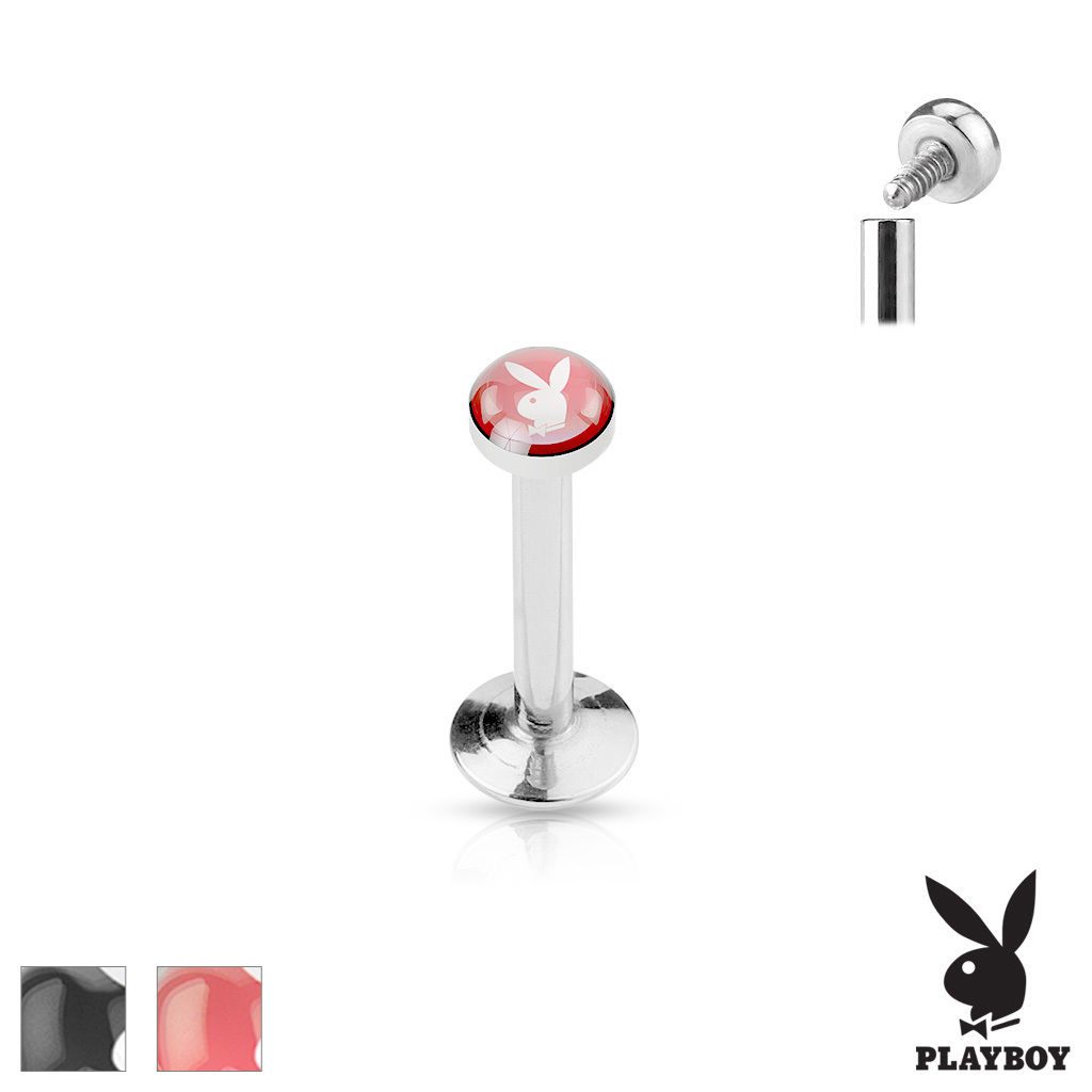 Stecker ashley piercing Labret